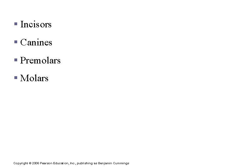 Classification of Teeth § Incisors § Canines § Premolars § Molars Copyright © 2006