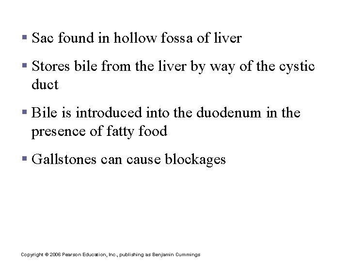 Gall Bladder § Sac found in hollow fossa of liver § Stores bile from
