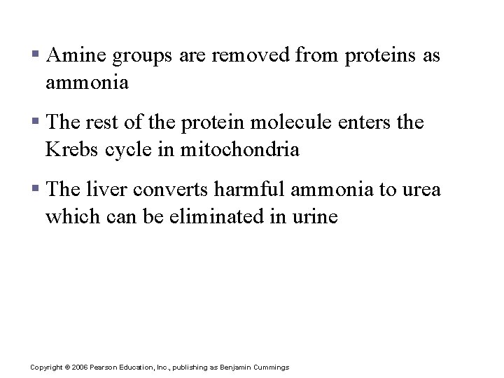 Production of ATP from Protein § Amine groups are removed from proteins as ammonia