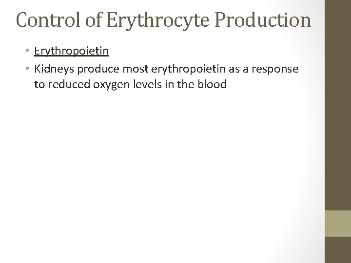 Control of Erythrocyte Production • Erythropoietin • Kidneys produce most erythropoietin as a response