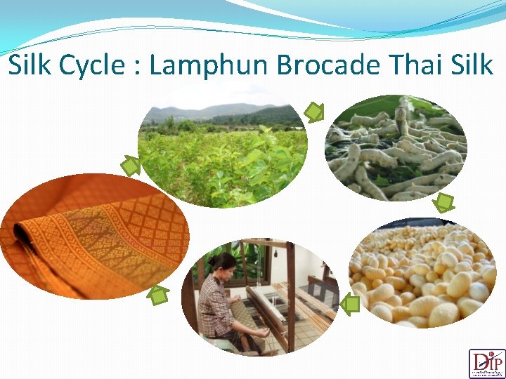 Silk Cycle : Lamphun Brocade Thai Silk 21 