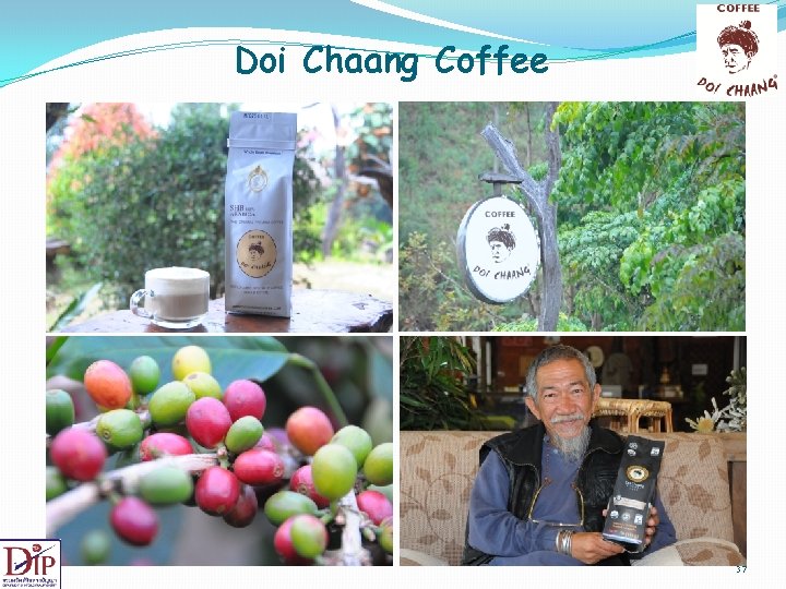 Doi Chaang Coffee 37 