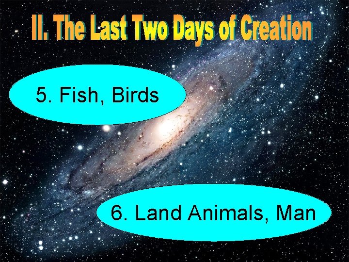 5. Fish, Birds 6. Land Animals, Man 