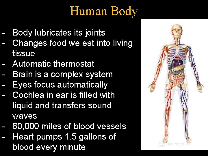 Human Body - Body lubricates its joints - Changes food we eat into living