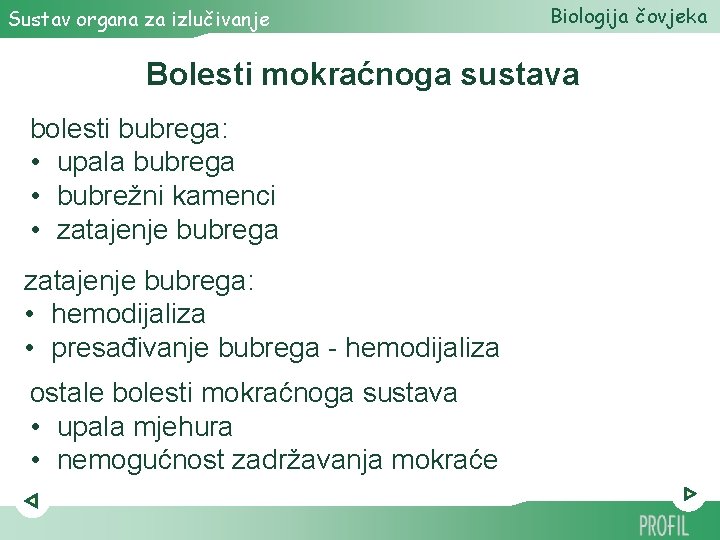 Sustav organa za izlučivanje Biologija čovjeka Bolesti mokraćnoga sustava bolesti bubrega: • upala bubrega