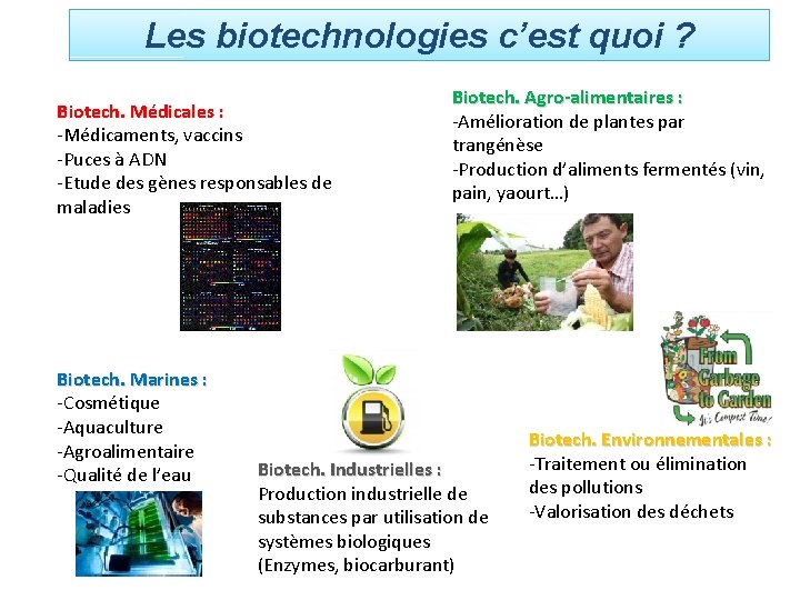 Les biotechnologies c’est quoi ? Biotech. Médicales : -Médicaments, vaccins -Puces à ADN -Etude