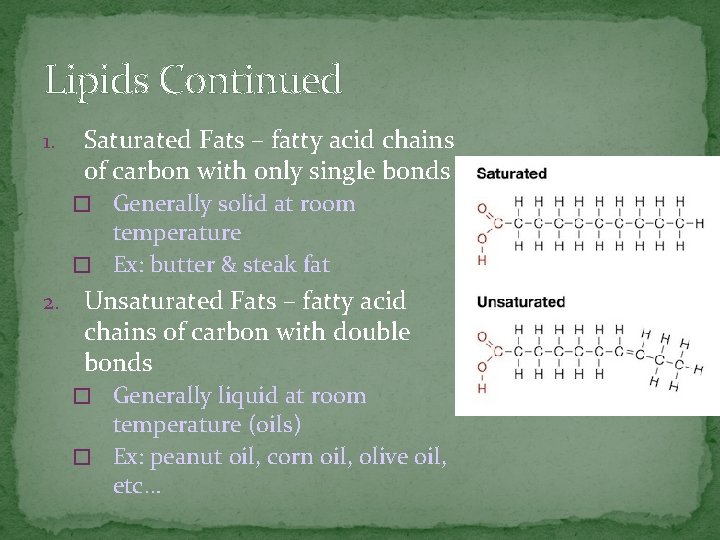 Lipids Continued 1. Saturated Fats – fatty acid chains of carbon with only single