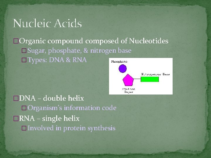 Nucleic Acids �Organic compound composed of Nucleotides � Sugar, phosphate, & nitrogen base �
