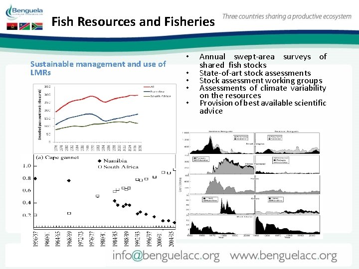 Fish Resources and Fisheries Sustainable management and use of LMRs • • • Annual