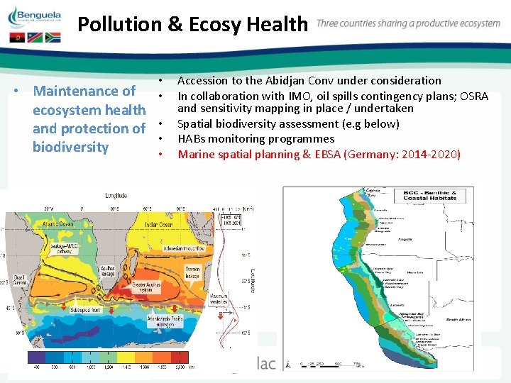 Pollution & Ecosy Health • • • Maintenance of ecosystem health and protection of