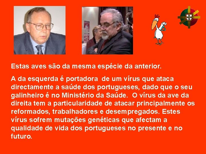 Estas aves são da mesma espécie da anterior. A da esquerda é portadora de