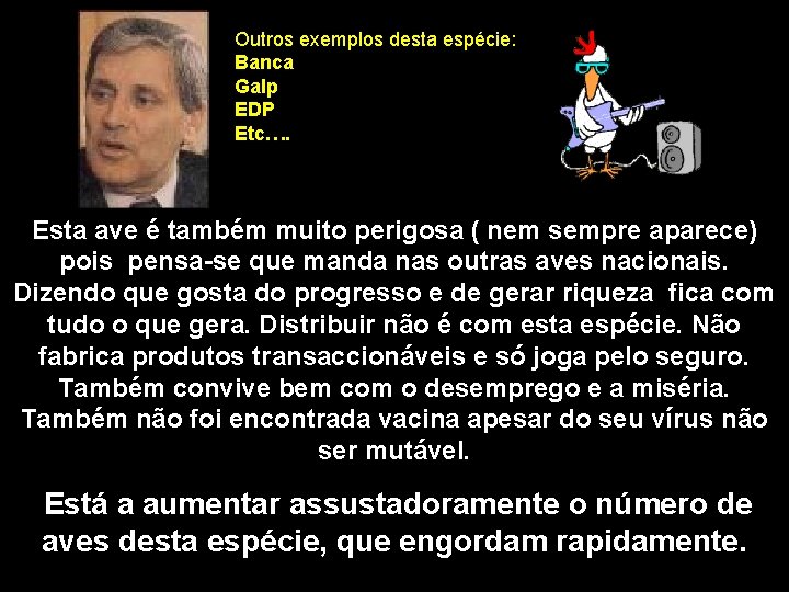 Outros exemplos desta espécie: Banca Galp EDP Etc…. Esta ave é também muito perigosa