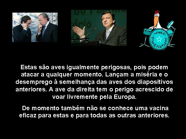 Estas são aves igualmente perigosas, pois podem atacar a qualquer momento. Lançam a miséria
