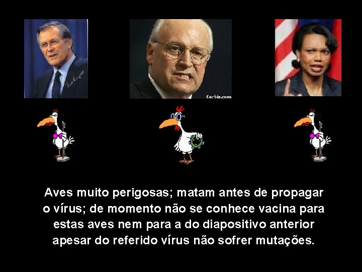 Aves muito perigosas; matam antes de propagar o vírus; de momento não se conhece