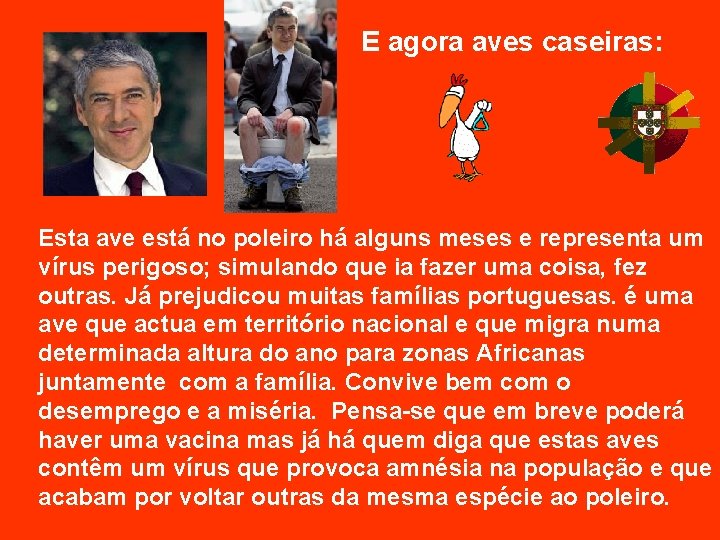 E agora aves caseiras: Esta ave está no poleiro há alguns meses e representa