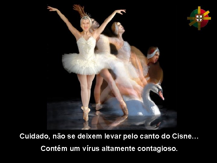 Cuidado, não se deixem levar pelo canto do Cisne… Contém um vírus altamente contagioso.