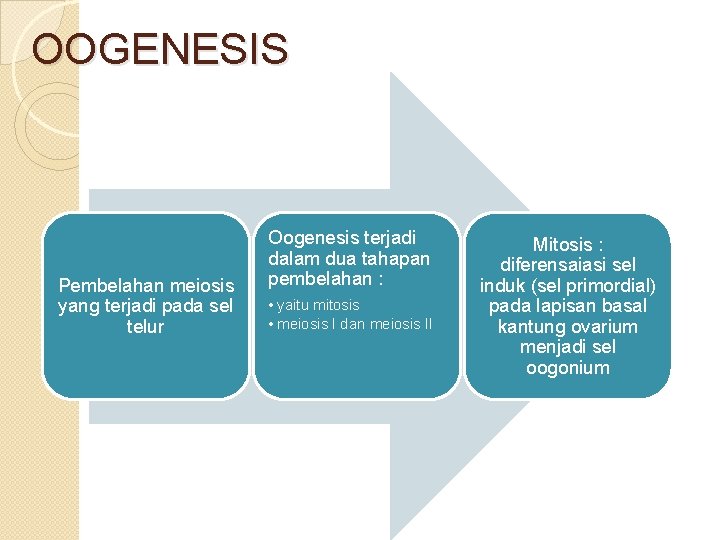 OOGENESIS Pembelahan meiosis yang terjadi pada sel telur Oogenesis terjadi dalam dua tahapan pembelahan