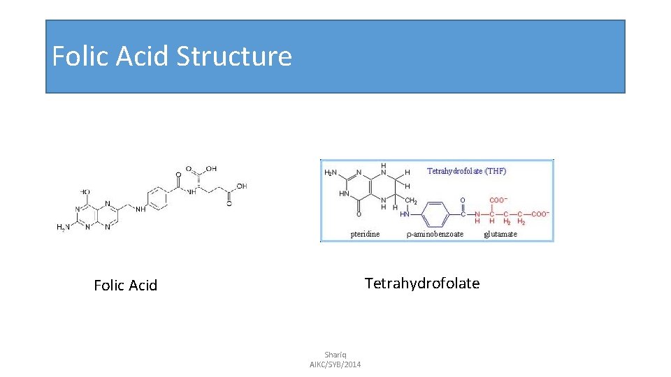Folic Acid Structure Tetrahydrofolate Folic Acid Shariq AIKC/SYB/2014 