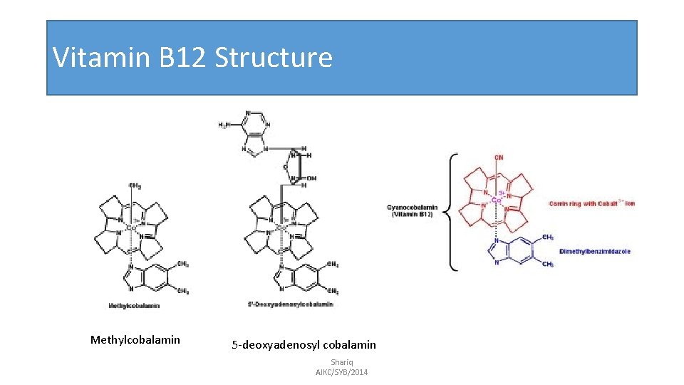 Vitamin B 12 Structure Methylcobalamin 5 -deoxyadenosyl cobalamin Shariq AIKC/SYB/2014 