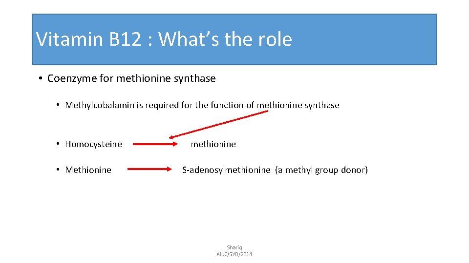 Vitamin B 12 : What’s the role • Coenzyme for methionine synthase • Methylcobalamin