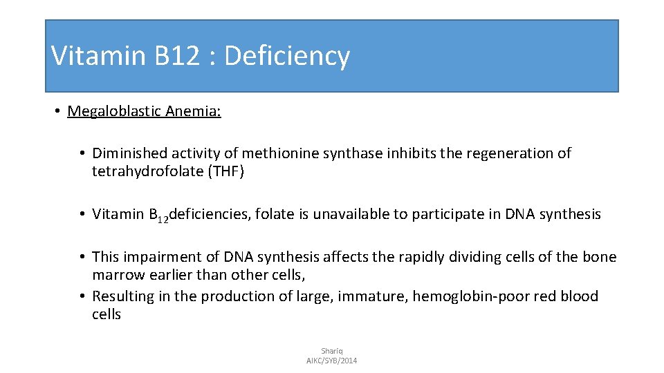 Vitamin B 12 : Deficiency • Megaloblastic Anemia: • Diminished activity of methionine synthase