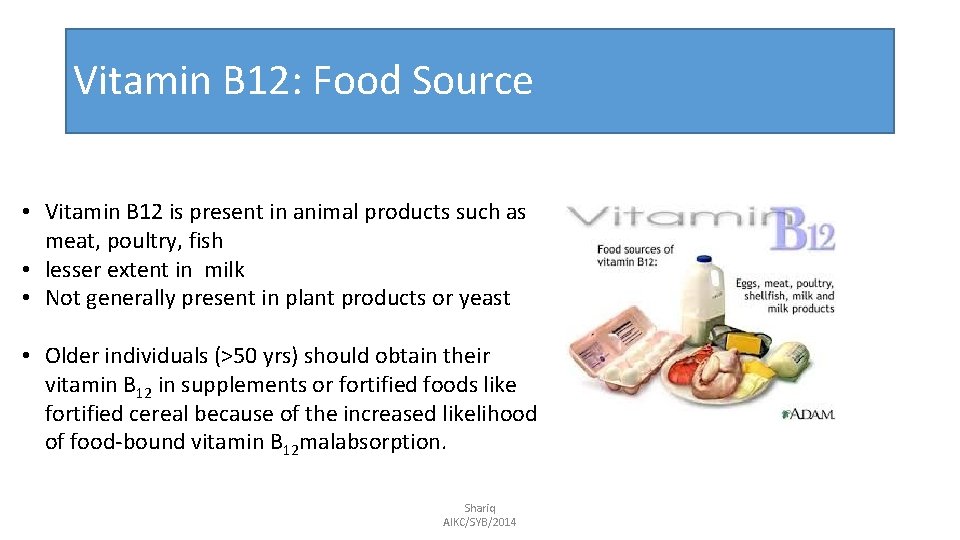 Vitamin B 12: Food Source • Vitamin B 12 is present in animal products