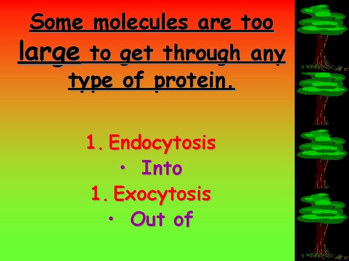 Some molecules are too large to get through any type of protein. 1. Endocytosis
