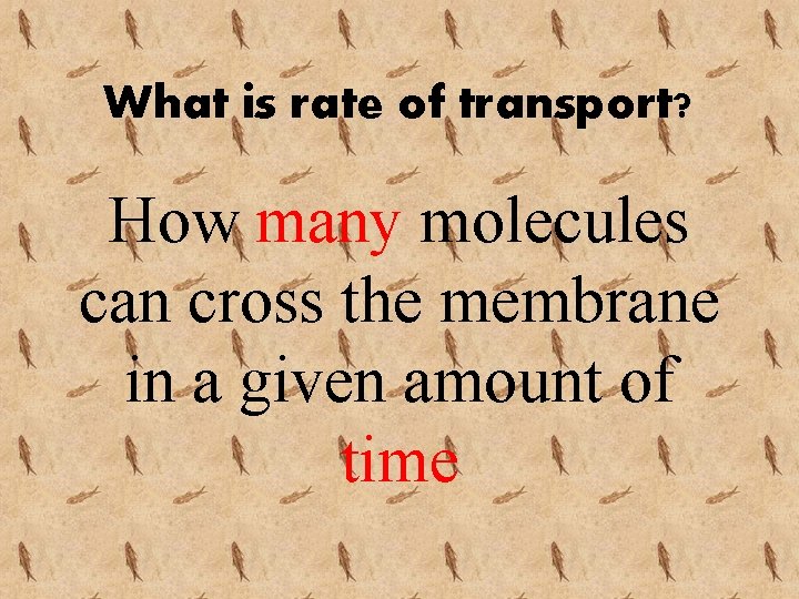 What is rate of transport? How many molecules can cross the membrane in a