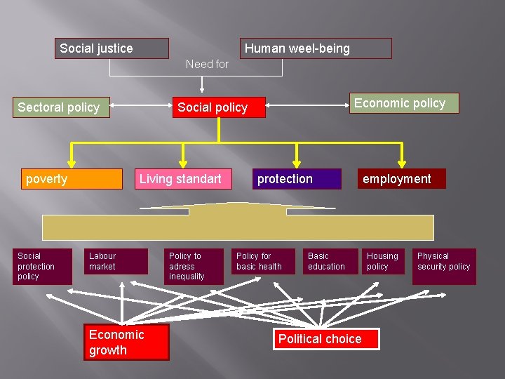 Social justice Human weel-being Need for Sectoral policy poverty Social protection policy Economic policy