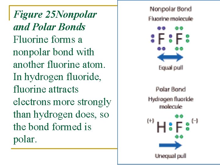 Figure 25 Nonpolar and Polar Bonds Fluorine forms a nonpolar bond with another fluorine