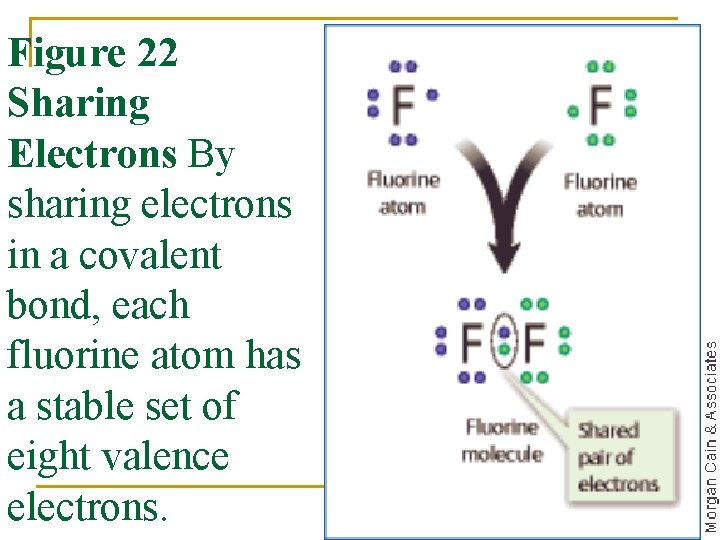Figure 22 Sharing Electrons By sharing electrons in a covalent bond, each fluorine atom