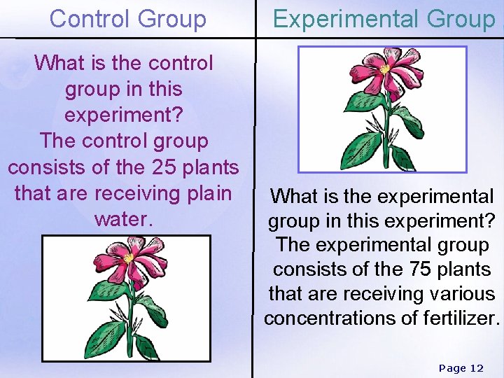 Control Group What is the control group in this experiment? The control group consists