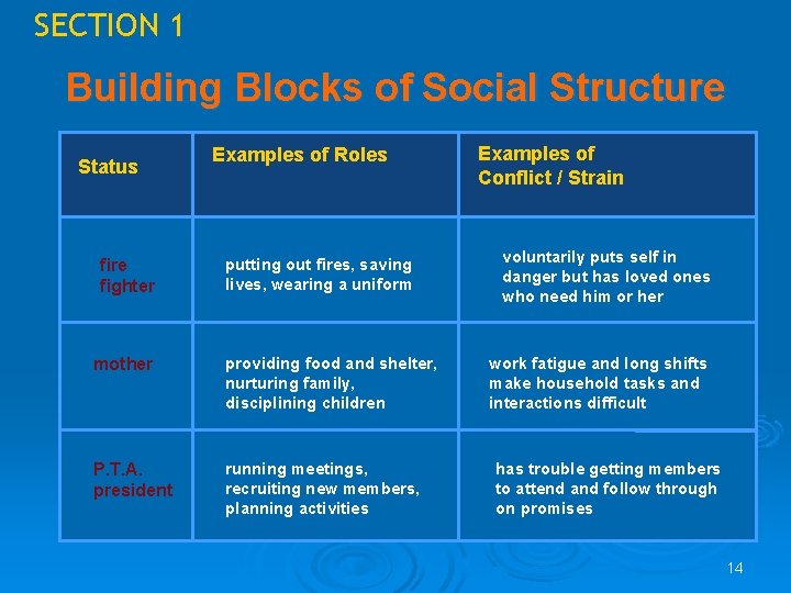 SECTION 1 Building Blocks of Social Structure Status fire fighter Examples of Roles putting SECTION 1 Building Blocks of Social Structure Status fire fighter Examples of Roles putting