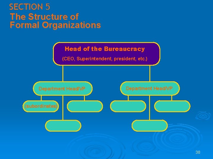 SECTION 5 The Structure of Formal Organizations Head of the Bureaucracy (CEO, Superintendent, president, SECTION 5 The Structure of Formal Organizations Head of the Bureaucracy (CEO, Superintendent, president,