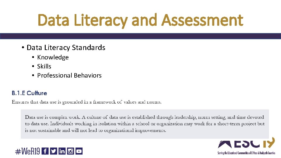 Data Literacy and Assessment • Data Literacy Standards • Knowledge • Skills • Professional