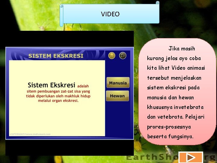 VIDEO Jika masih kurang jelas ayo coba kita lihat Video animasi tersebut menjelaskan sistem