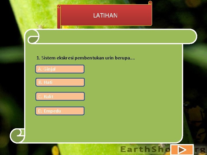 LATIHAN 1. Sistem ekskresi pembentukan urin berupa. . A. Ginjal B. Hati C. Kulit