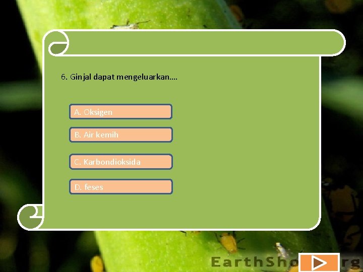 6. Ginjal dapat mengeluarkan…. A. Oksigen B. Air kemih C. Karbondioksida D. feses 