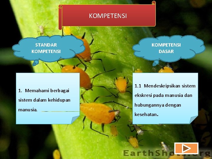 KOMPETENSI STANDAR KOMPETENSI 1. Memahami berbagai sistem dalam kehidupan manusia. KOMPETENSI DASAR 1. 1