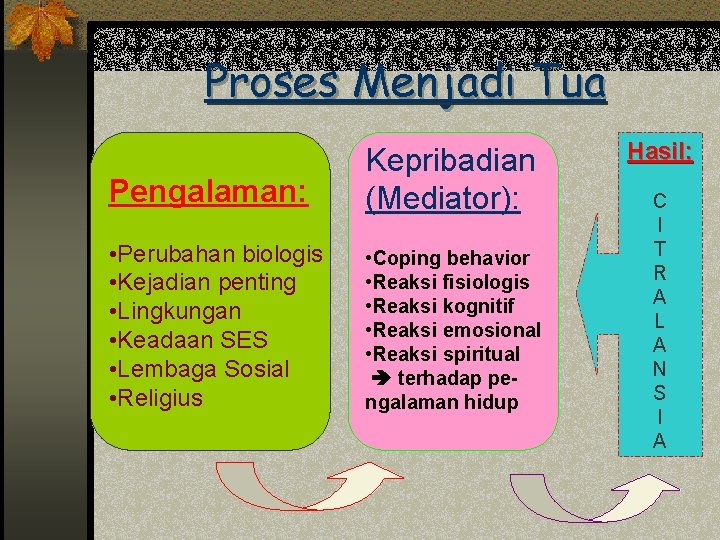 Proses Menjadi Tua Pengalaman: Kepribadian (Mediator): • Perubahan biologis • Kejadian penting • Lingkungan