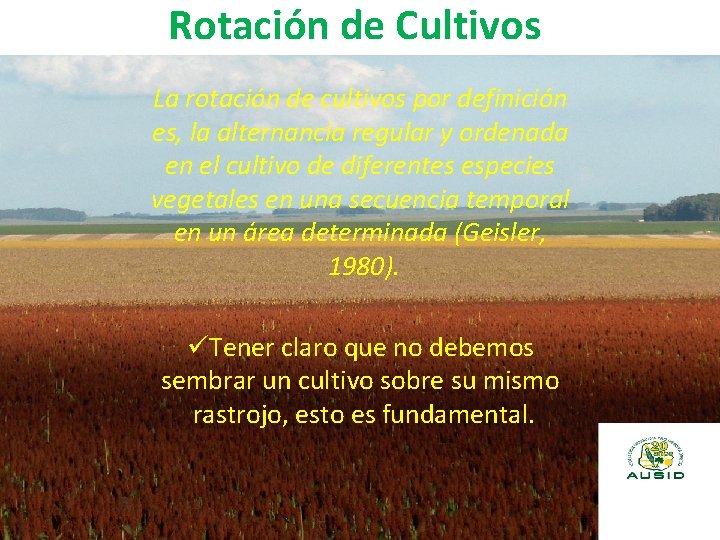 Rotación de Cultivos La rotación de cultivos por definición es, la alternancia regular y