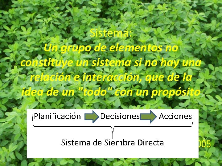 Sistema: Un grupo de elementos no constituye un sistema si no hay una relación