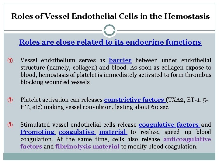 Roles of Vessel Endothelial Cells in the Hemostasis Roles are close related to its