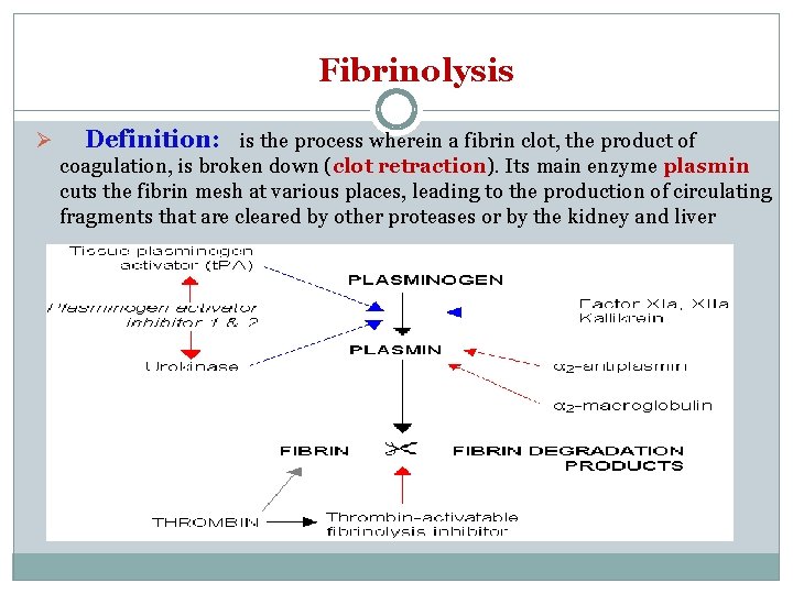 Fibrinolysis Ø Definition: is the process wherein a fibrin clot, the product of coagulation,
