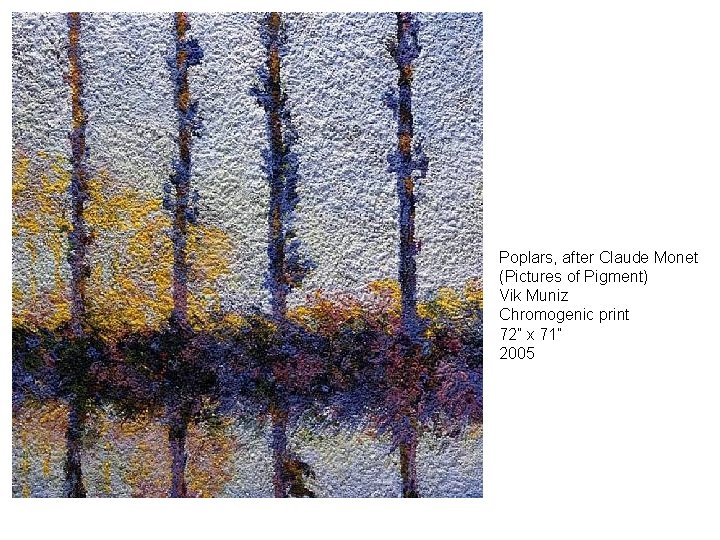 Poplars, after Claude Monet (Pictures of Pigment) Vik Muniz Chromogenic print 72” x 71”