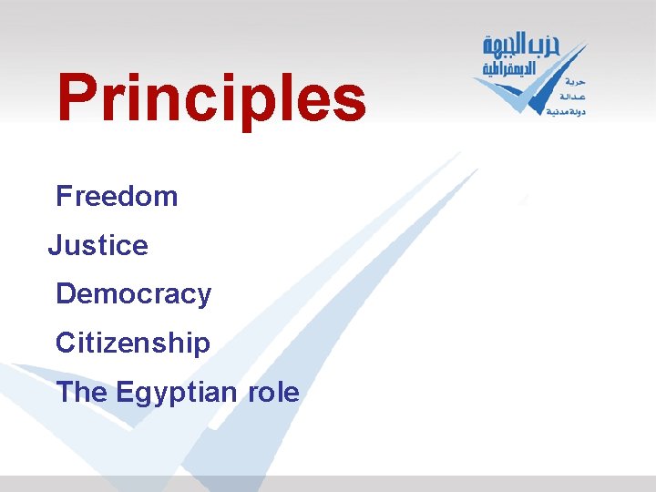 Principles Freedom Justice Democracy Citizenship The Egyptian role 