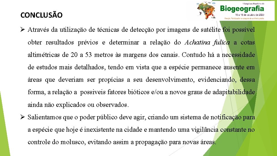 CONCLUSÃO Ø Através da utilização de técnicas de detecção por imagens de satélite foi