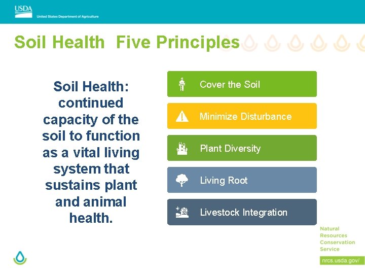 Soil Health Five Principles Soil Health: continued capacity of the soil to function as