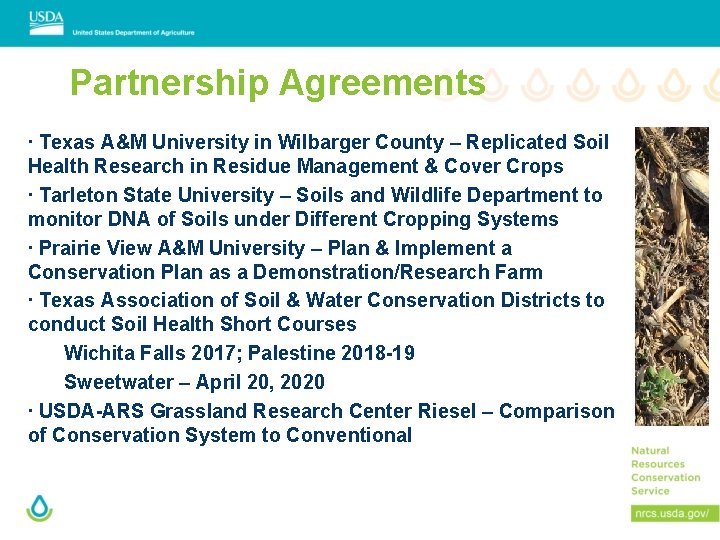 Partnership Agreements ∙ Texas A&M University in Wilbarger County – Replicated Soil Health Research