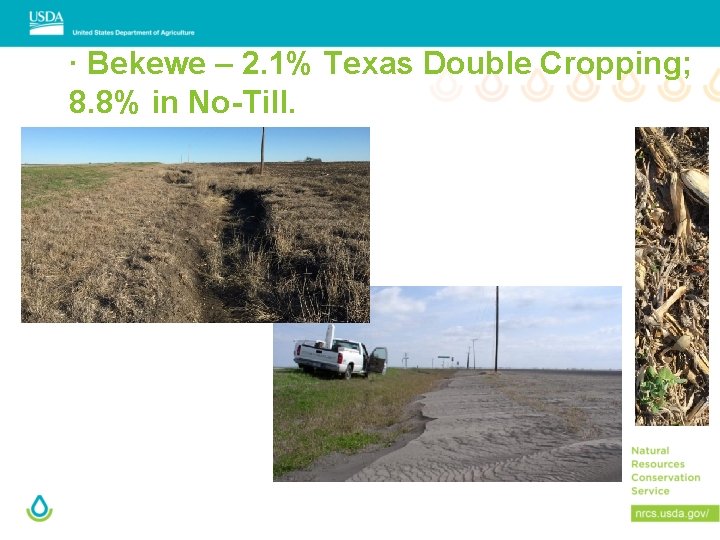 ∙ Bekewe – 2. 1% Texas Double Cropping; 8. 8% in No-Till. 